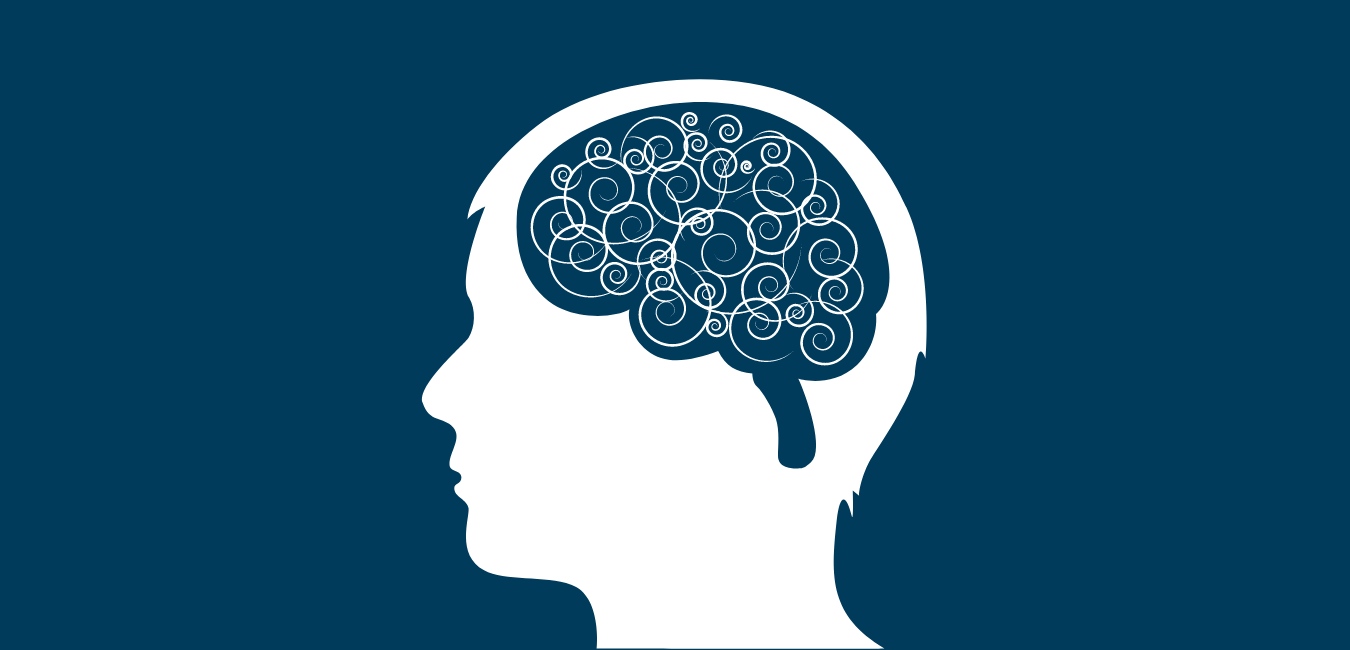 The Developing Adolescent Brain | Center for the Developing Adolescent