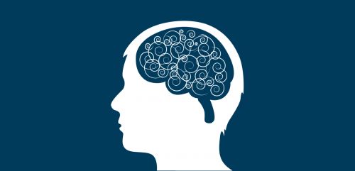Thumbnail for Developing Adolescent Brain image header