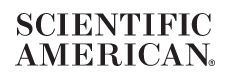 Image for A Single, Quick ‘Mindset’ Exercise Protects against Adolescent Stress