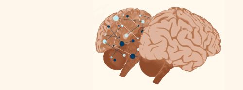 Thumbnail for The Connecting Brain