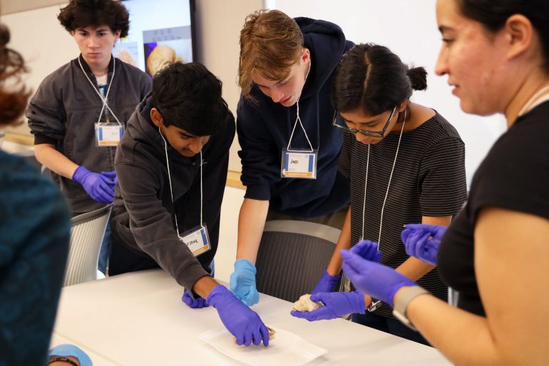 Image for 2025 Adolescent Brain Development Boot Camp students examine sheep brains during a presentation