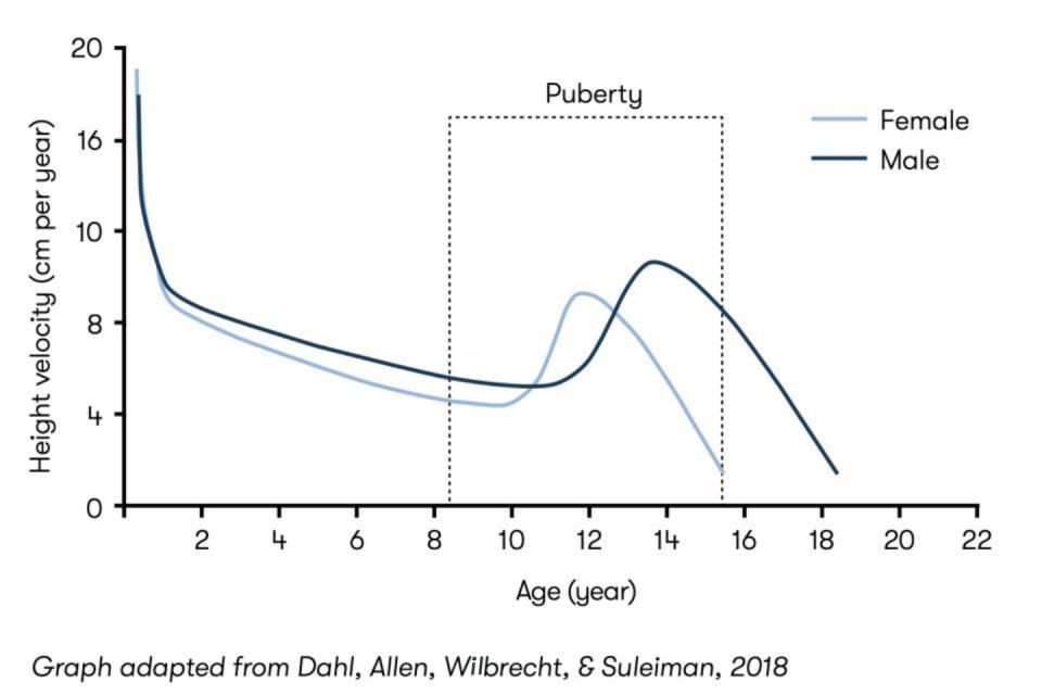 SPEED OF PHYSICAL GROWTH THROUGHOUT CHILDHOOD AND ADOLESCENCE